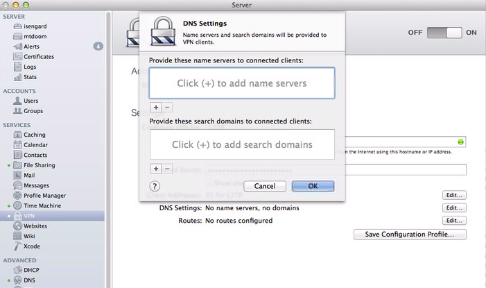 configuring DNS settings for VPN